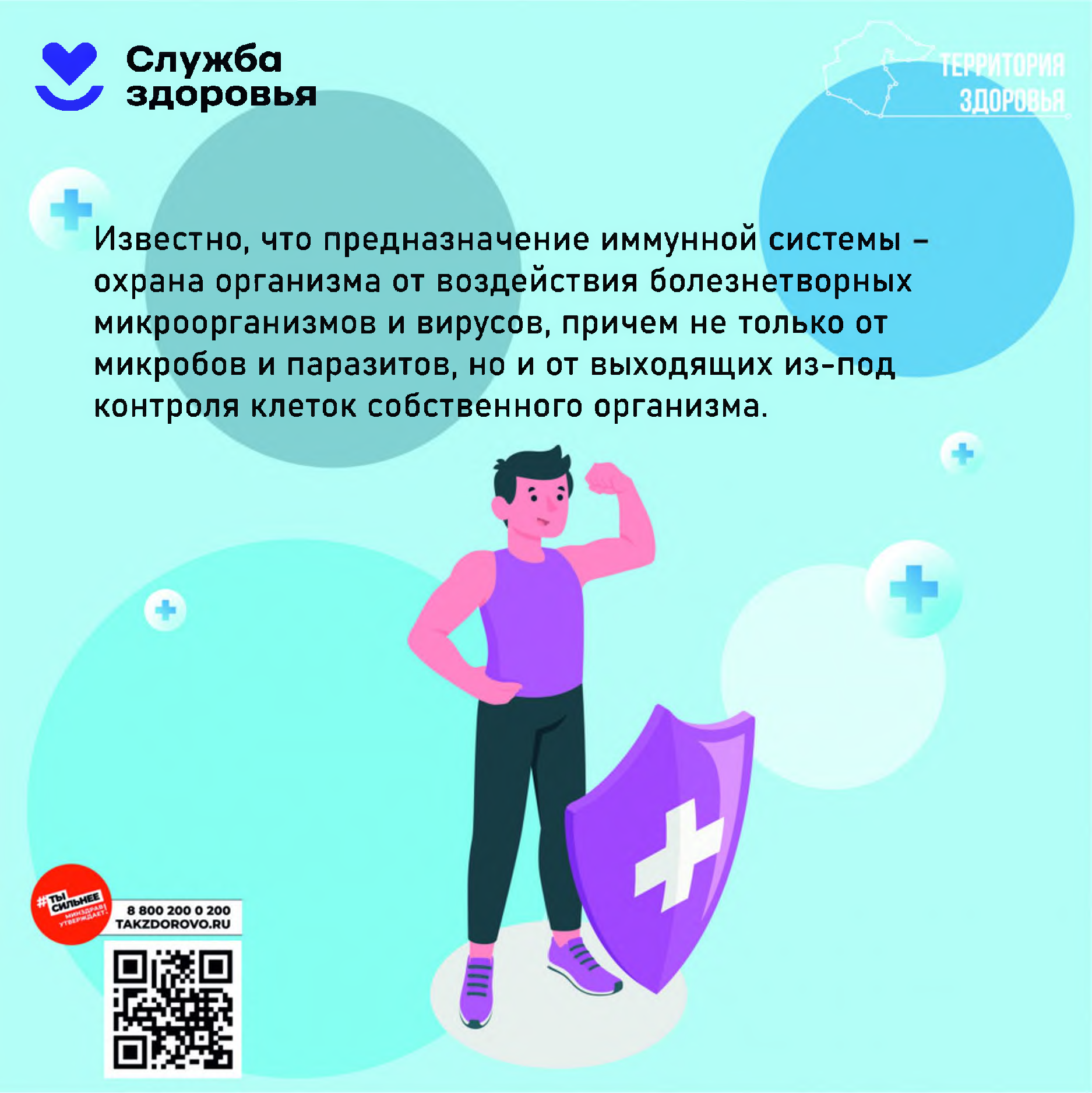87675 Страница 1