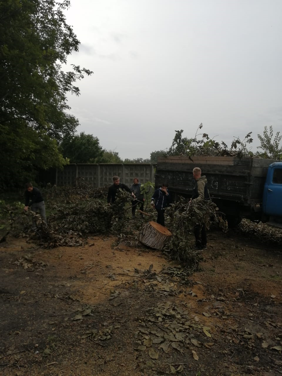 павловская приемный покой телефон црб