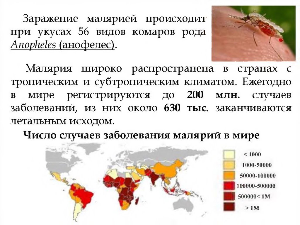 Прогностически неблагоприятными признаками при тропической малярии. Карта распространения малярии в мире 2018. Малярийный комар карта распространения. Распространение малярии в мире. Малярия в России распространенность.